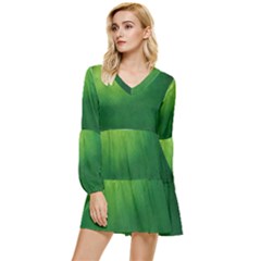 Light Green Abstract Tiered Long Sleeve Mini Dress