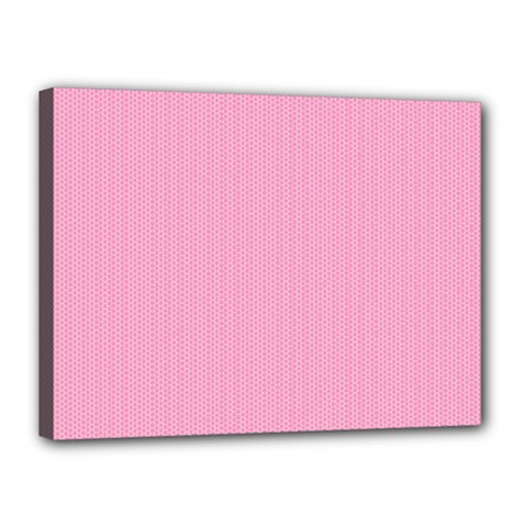 Background Pink Modern Canvas 16  X 12  (stretched) by nateshop