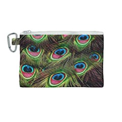 Peacock-feathers-color-plumage Canvas Cosmetic Bag (medium)