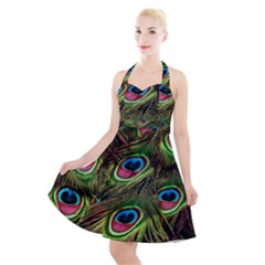 Peacock-feathers-color-plumage Halter Party Swing Dress  by Celenk