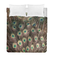 Bird-peacock Duvet Cover Double Side (Full/ Double Size)