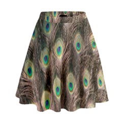 Bird-peacock High Waist Skirt