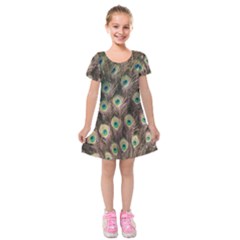 Bird-peacock Kids  Short Sleeve Velvet Dress