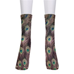 Bird-peacock Crew Socks