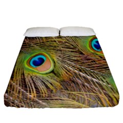 Peacock-bird Fitted Sheet (queen Size)