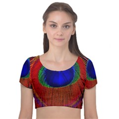 Peacock Plumage Fearher Bird Pattern Velvet Short Sleeve Crop Top  by Sapixe