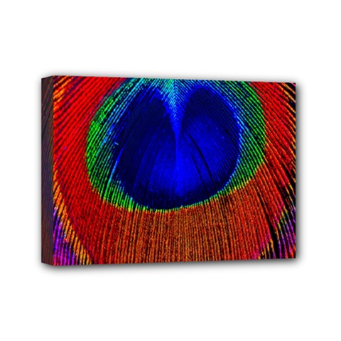 Peacock Plumage Fearher Bird Pattern Mini Canvas 7  X 5  (stretched)