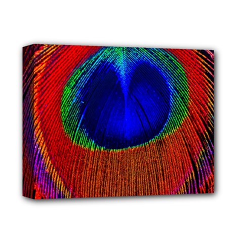 Peacock Plumage Fearher Bird Pattern Deluxe Canvas 14  X 11  (stretched)