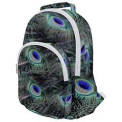 Plumage Peacock Feather Colorful Rounded Multi Pocket Backpack