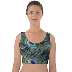 Plumage Peacock Feather Colorful Velvet Crop Top