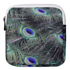 Plumage Peacock Feather Colorful Mini Square Pouch