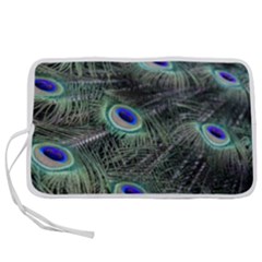 Plumage Peacock Feather Colorful Pen Storage Case (s)