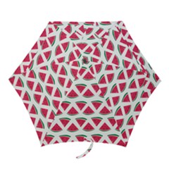 Illustration Watermelon Fruit-food Melon Mini Folding Umbrellas by Sapixe