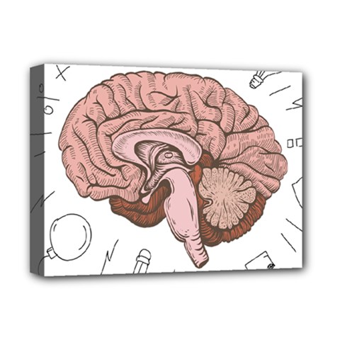 Cerebrum Human Structure Cartoon Human Brain Deluxe Canvas 16  X 12  (stretched) 