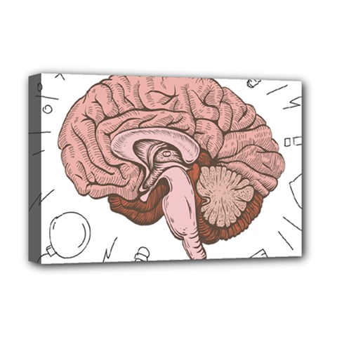 Cerebrum Human Structure Cartoon Human Brain Deluxe Canvas 18  X 12  (stretched)