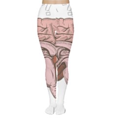 Cerebrum Human Structure Cartoon Human Brain Tights