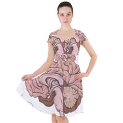 Cerebrum Human Structure Cartoon Human Brain Cap Sleeve Midi Dress