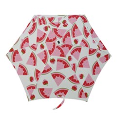 Pink Watermeloon Mini Folding Umbrellas