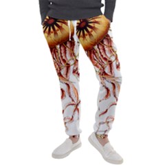 Animal Art Forms In Nature Jellyfish Men s Jogger Sweatpants by Sapixe