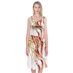 Animal Art Forms In Nature Jellyfish Midi Sleeveless Dress