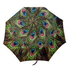 Peacock-army Folding Umbrellas