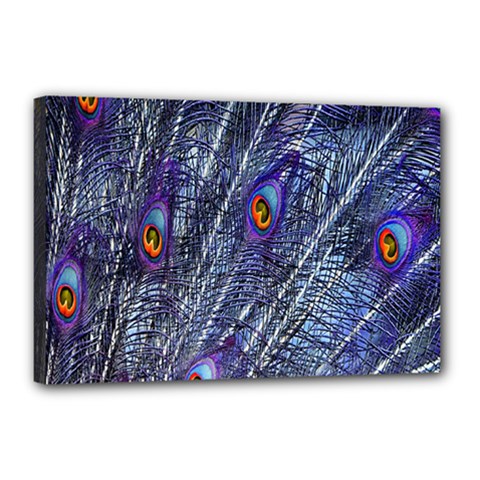 Peacock-feathers-blue Canvas 18  X 12  (stretched)