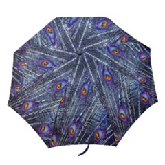 Peacock-feathers-blue Folding Umbrellas