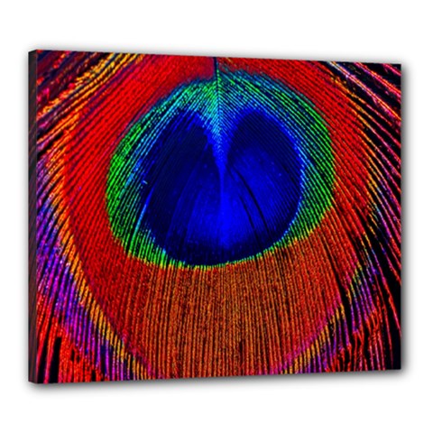 Red Peacock Plumage Fearher Bird Pattern Canvas 24  X 20  (stretched) by Wegoenart