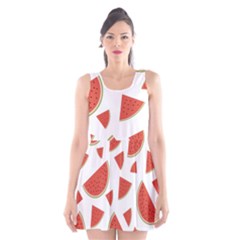 Watermelons Fruits Tropical Fruits Scoop Neck Skater Dress