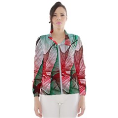 Abstract Pattern Art Colorful Women s Windbreaker by Amaryn4rt