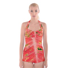 Aglonema Leaf Plant Pattern Flora Boyleg Halter Swimsuit 