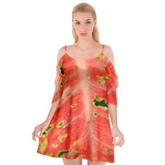 Aglonema Leaf Plant Pattern Flora Cutout Spaghetti Strap Chiffon Dress