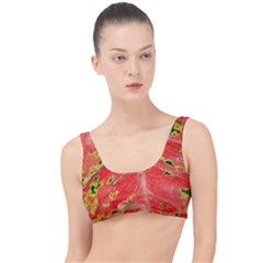 Aglonema Leaf Plant Pattern Flora The Little Details Bikini Top by Amaryn4rt