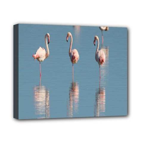 Flamingo Birds Plumage Sea Water Canvas 10  X 8  (stretched) by artworkshop