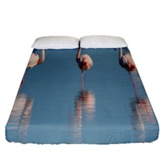 Flamingo Birds Plumage Sea Water Fitted Sheet (queen Size)