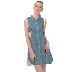 Flamingo Birds Plumage Sea Water Sleeveless Shirt Dress by artworkshop