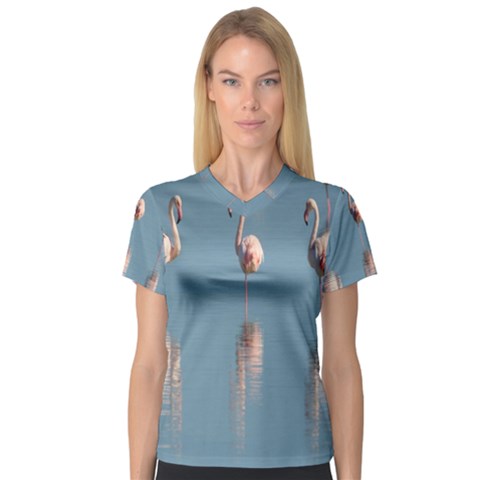 Flamingo Birds Plumage Sea Water Animal Exotic V-neck Sport Mesh Tee by artworkshop