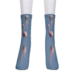 Flamingo Birds Plumage Sea Water Animal Exotic Crew Socks