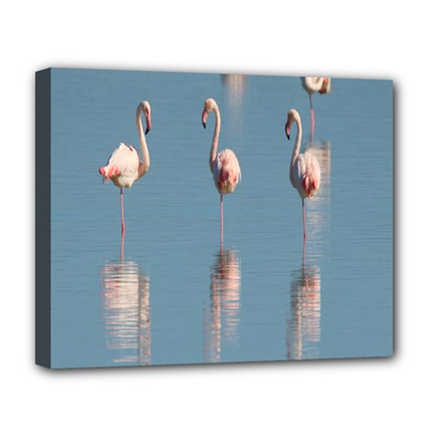 Flamingo Birds Plumage Sea Water Animal Exotic Deluxe Canvas 20  X 16  (stretched) by artworkshop