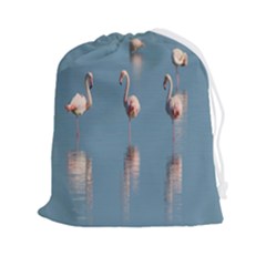 Flamingo Birds Plumage Sea Water Animal Exotic Drawstring Pouch (2xl) by artworkshop