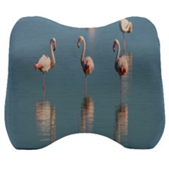 Flamingo Birds Plumage Sea Water Animal Exotic Velour Head Support Cushion by artworkshop