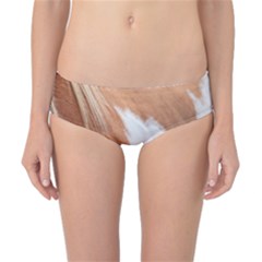 Horse Coat Animal Equine Classic Bikini Bottoms by artworkshop