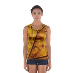 Leaf Leaf Veins Fall Sport Tank Top  by artworkshop