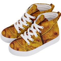 Leaf Leaf Veins Fall Kids  Hi-top Skate Sneakers by artworkshop