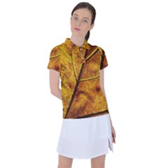 Leaf Leaf Veins Fall Women s Polo Tee