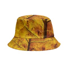 Leaf Leaf Veins Fall Inside Out Bucket Hat by artworkshop