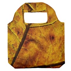 Leaf Leaf Veins Fall Premium Foldable Grocery Recycle Bag by artworkshop