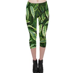 Leaves Foliage Twig Bush Plant Capri Leggings  by artworkshop