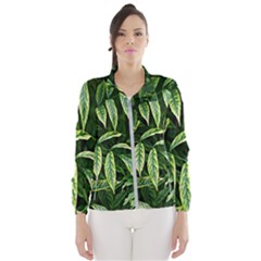 Leaves Foliage Twig Bush Plant Women s Windbreaker by artworkshop