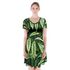 Leaves Foliage Twig Bush Plant Short Sleeve V-neck Flare Dress by artworkshop